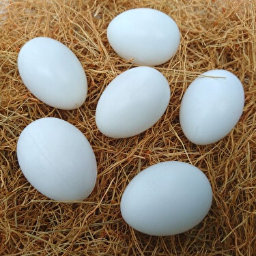 Buğday-fizan-Yumurta